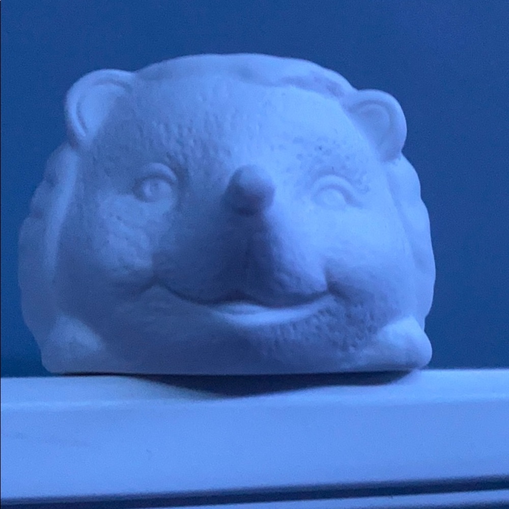 Mini Hedgehog Planter - Picture 2 of 6